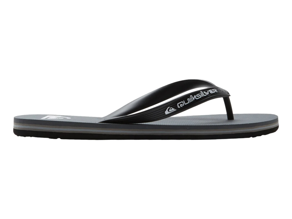 Sandalias Quiksilver Molokai Core Gris para Hombre