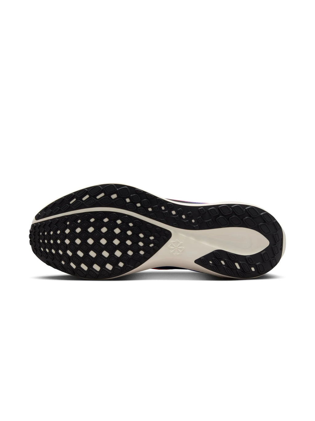 Nike Air Zoom Pegasus 41 Mens Shoes