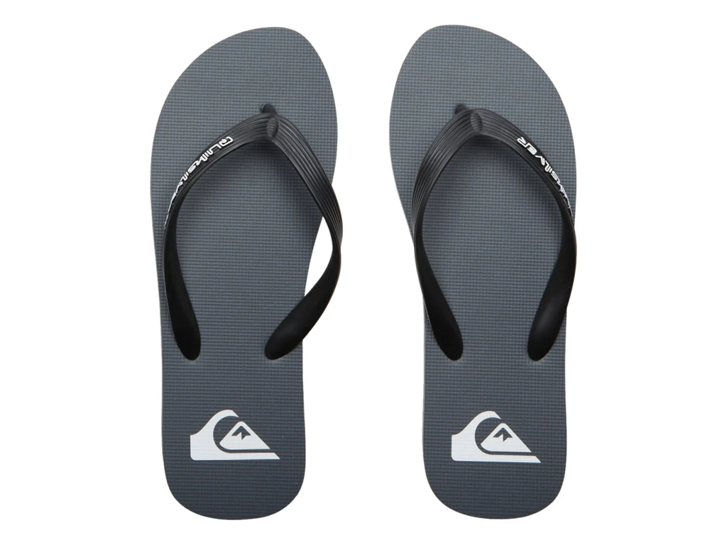 Sandalias Quiksilver Molokai Core Gris para Hombre