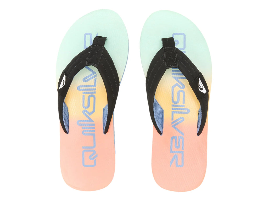 Sandalias Quiksilver Makaha Layback Multicolor para Hombre