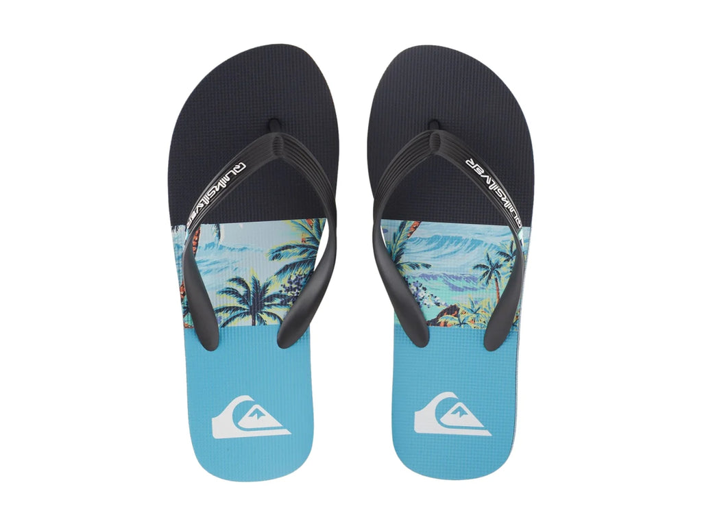 Sandalias Quiksilver Molokai Stripe Azul para Hombre