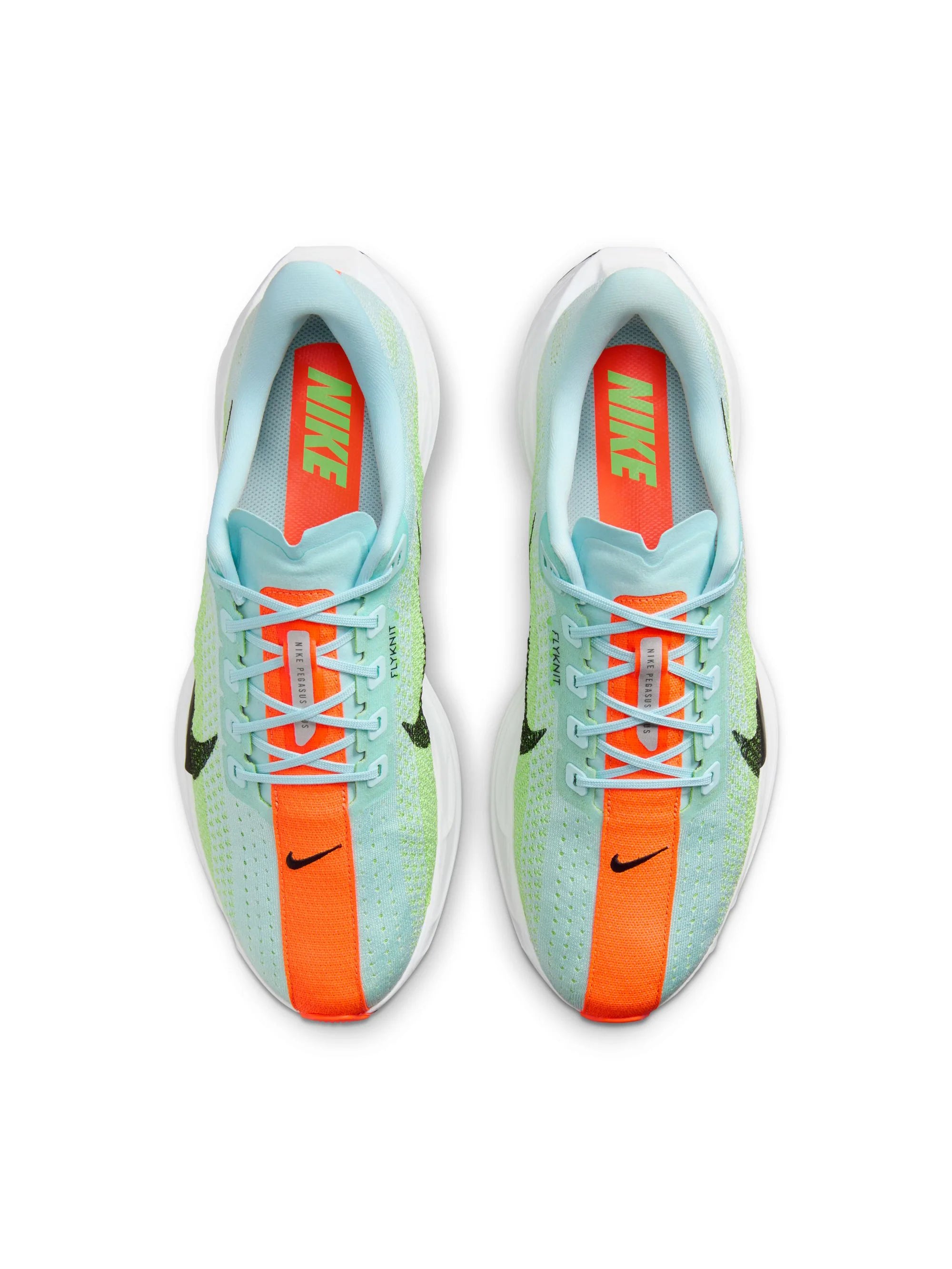 Nike Pegasus Plus Womens Shoes
