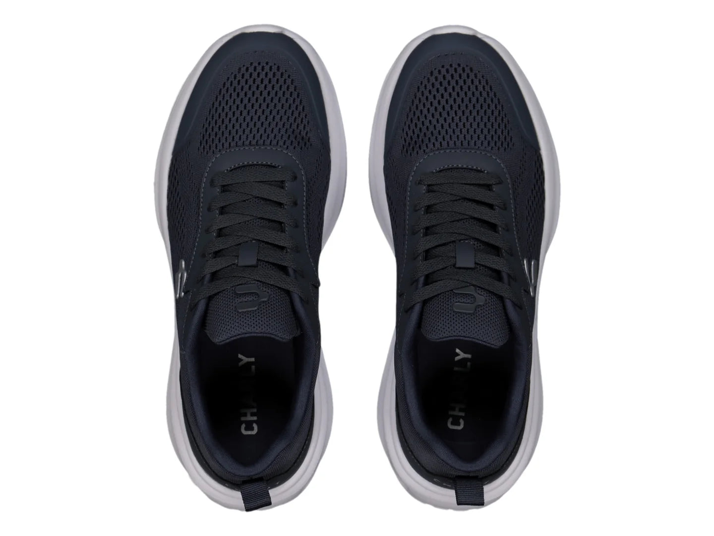 Tenis Charly Road Casual Azul Marino y Blanco para Hombre